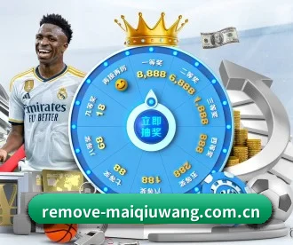 买球网 APP 深度功能
