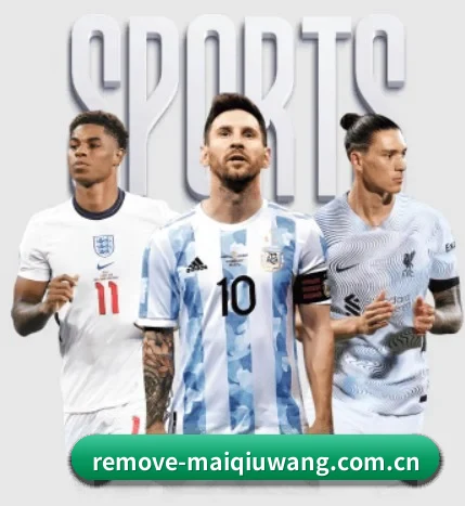 五大服务分区,信息按项目分类 - 多运动项目内容板块